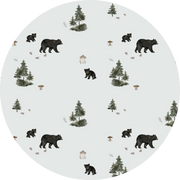 Black Bears