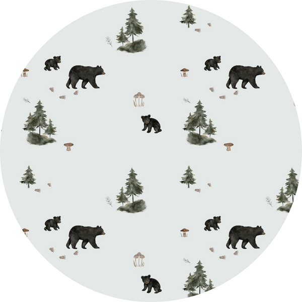 Black Bears