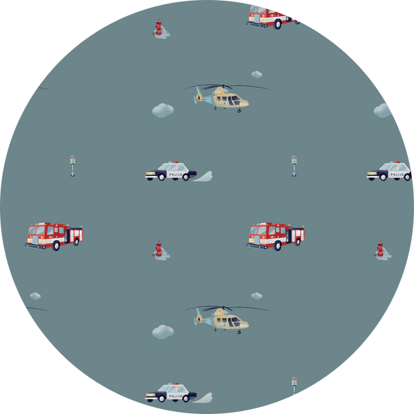 Emergency Vehicles