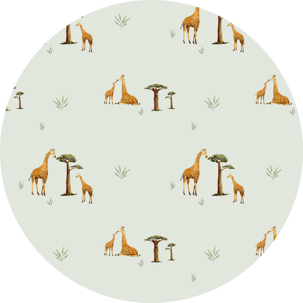 Giraffes