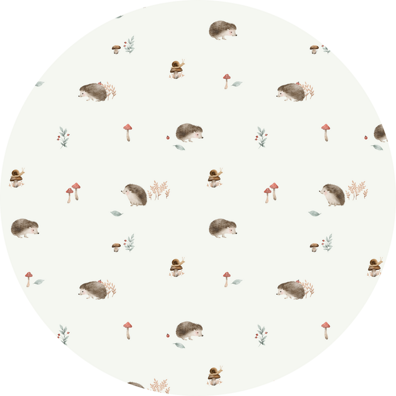 Hedgehogs