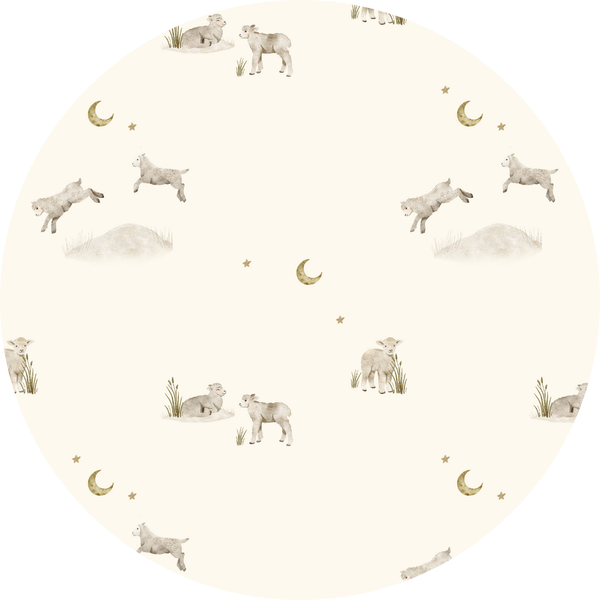 Little Lambs