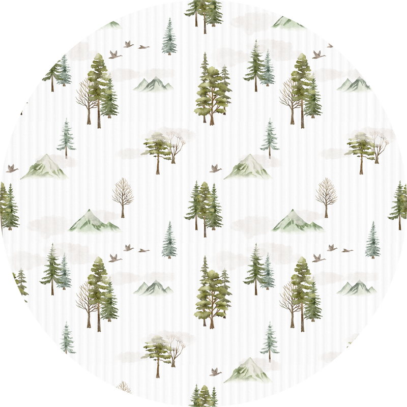 Misty Forest