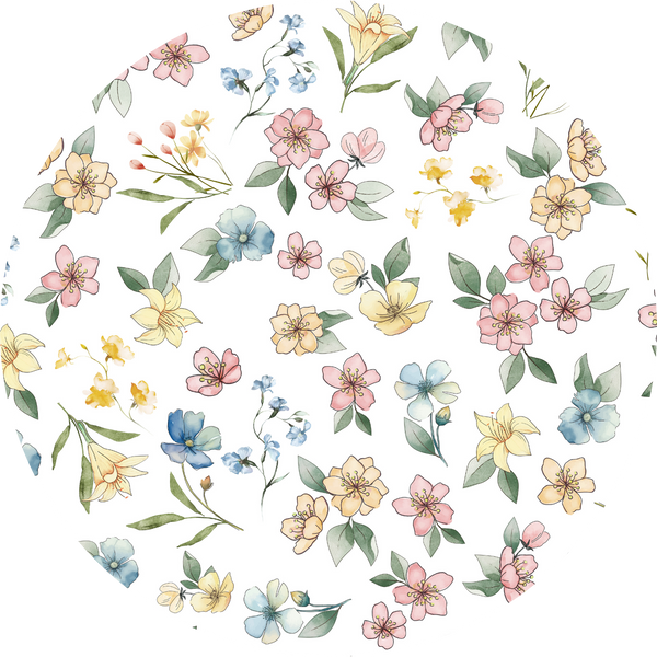 Spring Meadow