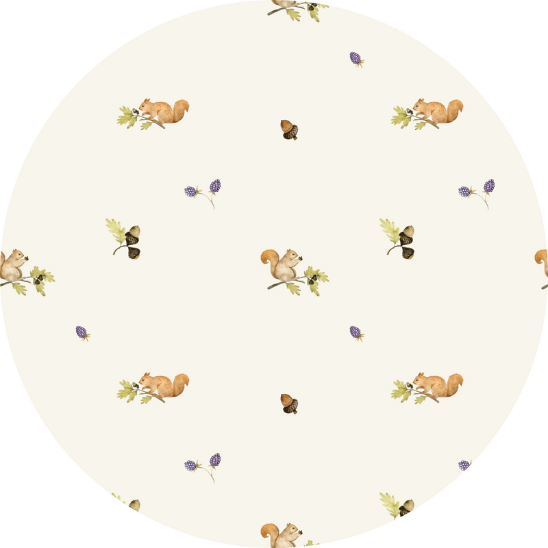 Squirrels
