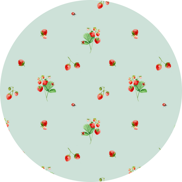 Strawberry Garden