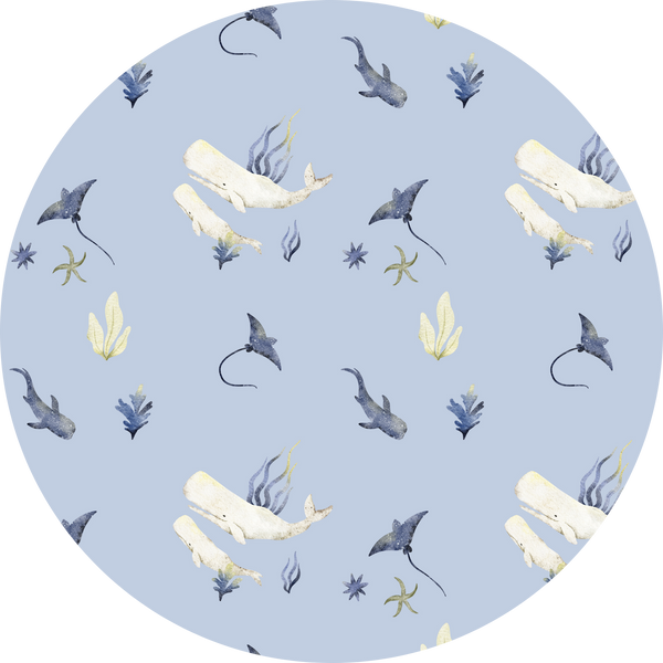 Whale Lover