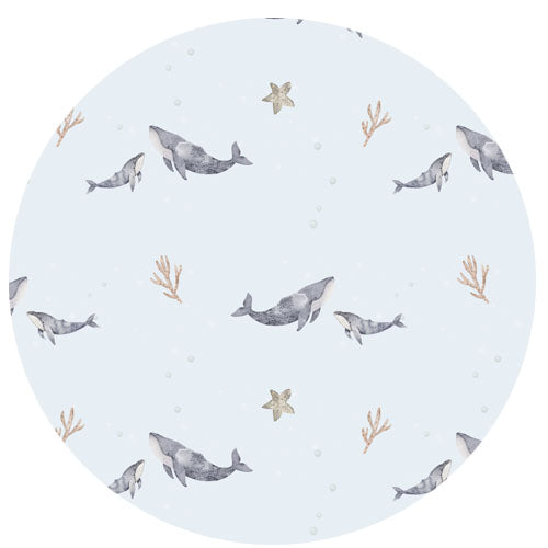Whales